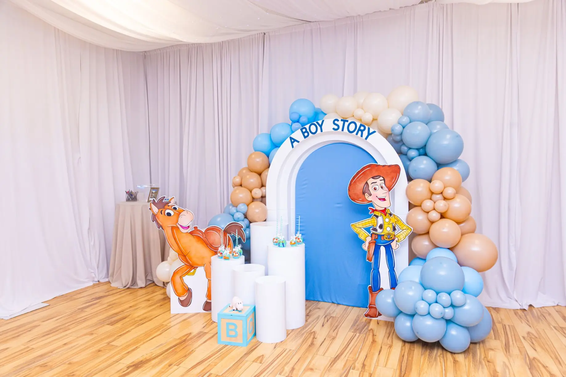 Boy story backdrop, props and balloons