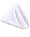 White Napkin.webp