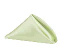 Sage Green Napkin.webp