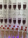 IMG_5505.webp
